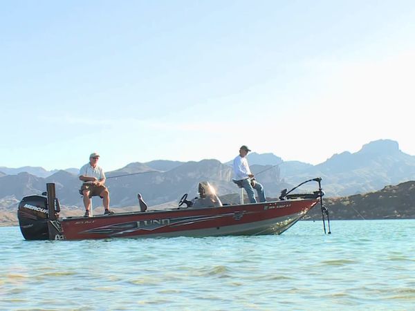 Lindner's Angling Edge - Finesse Smallies