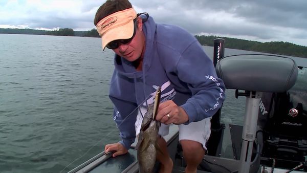 Lindner's Angling Edge - Tip-Top Smallies