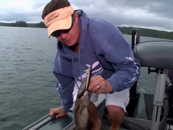 Lindner's Angling Edge - Tip-Top Smallies