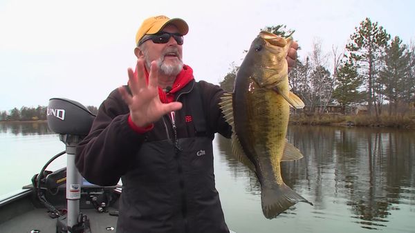 Lindner's Angling Edge - Shadow Bait Bass
