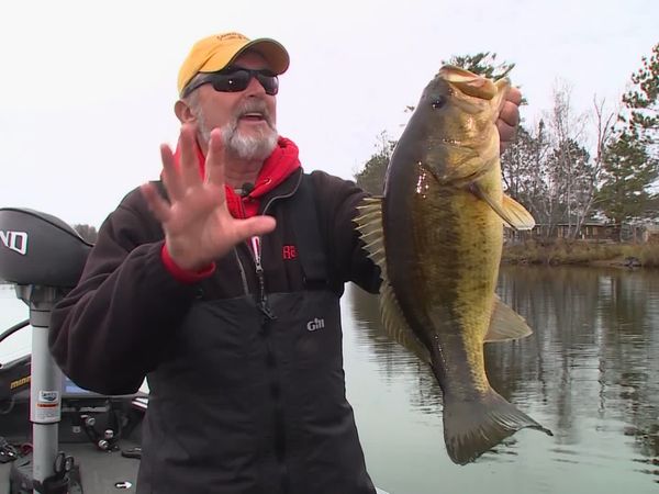 Lindner's Angling Edge - Shadow Bait Bass