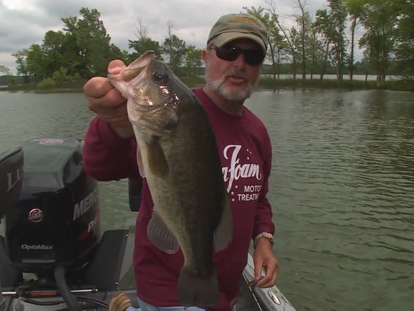 Lindner's Angling Edge - Electronic Largemouth