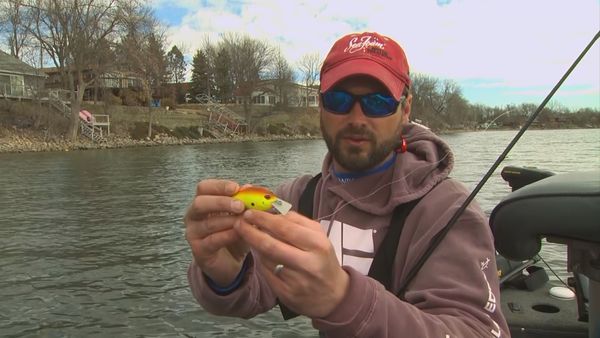 Lindner's Angling Edge - Cold-Water Largemouth