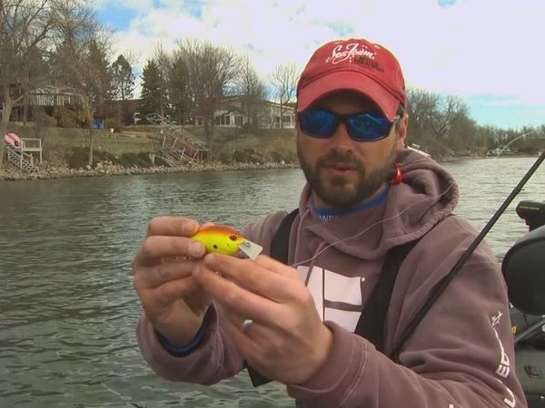 Lindner's Angling Edge - Cold-Water Largemouth