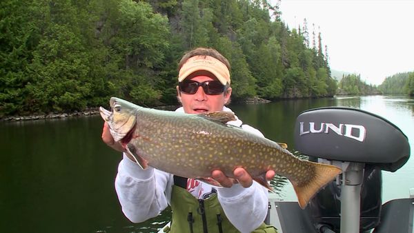 Lindner's Angling Edge - Canadian Brookies