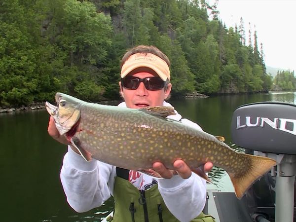Lindner's Angling Edge - Canadian Brookies