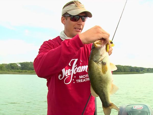 Lindner's Angling Edge - Swing Jig Largemouth
