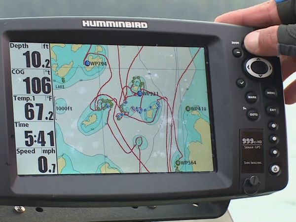 Lindner's Angling Edge - Goin' Mental for Musky