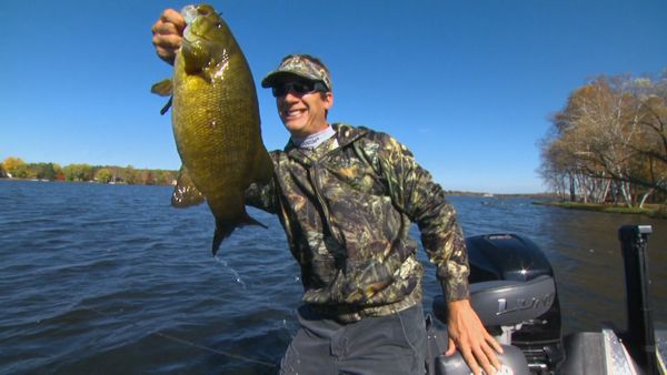 Lindner's Angling Edge - Search Bait Bass