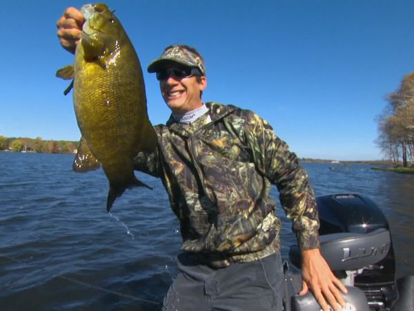 Lindner's Angling Edge - Search Bait Bass