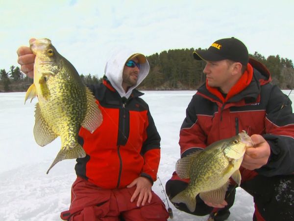 Lindner's Angling Edge - Win-Win Canadian Fishin'