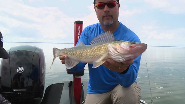 Lindner's Angling Edge - Down-Deep 'Eyes
