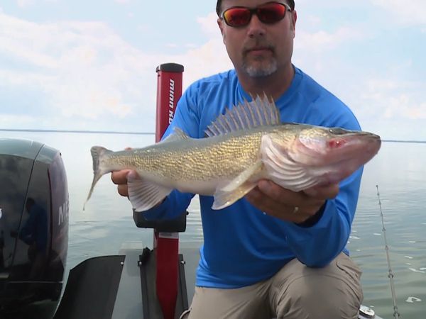 Lindner's Angling Edge - Down-Deep 'Eyes