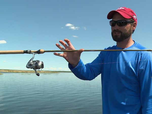 Lindner's Angling Edge - Doodle Sockin' Crappie