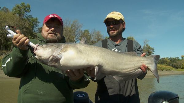 Lindner's Angling Edge - Modern Catfishing