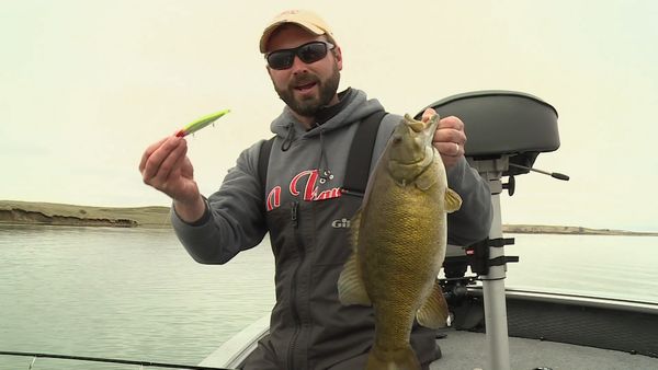 Lindner's Angling Edge - Jerkin' Smallies
