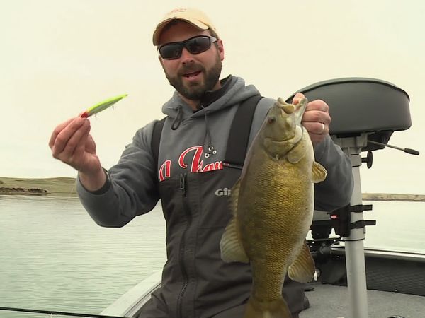 Lindner's Angling Edge - Jerkin' Smallies