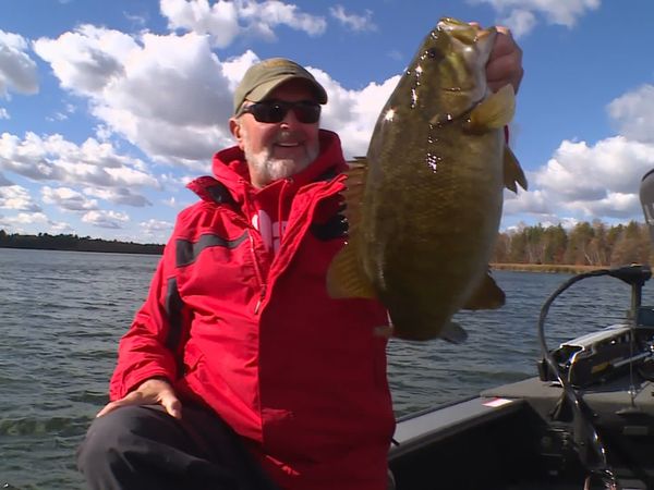 Lindner's Angling Edge - Bass in the Shadows