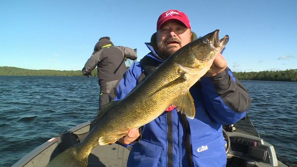Lindner's Angling Edge - Bouncing Up Walleye