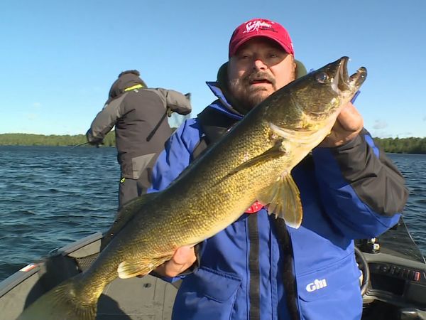 Lindner's Angling Edge - Bouncing Up Walleye