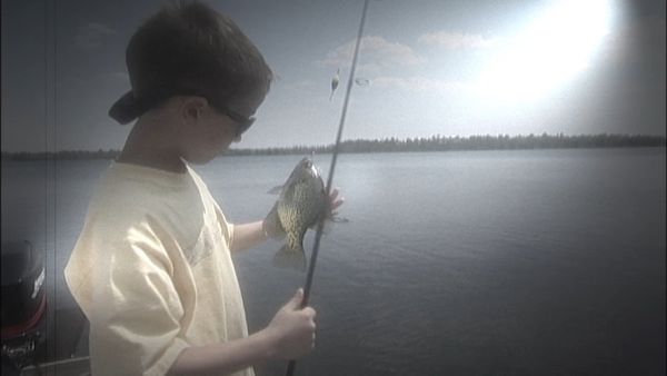 Lindner's Angling Edge - Summer Fishing