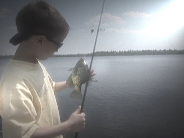 Lindner's Angling Edge - Summer Fishing