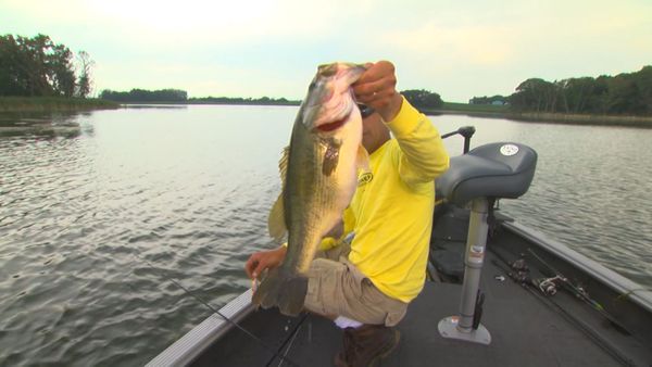 Lindner's Angling Edge - Finding Fish