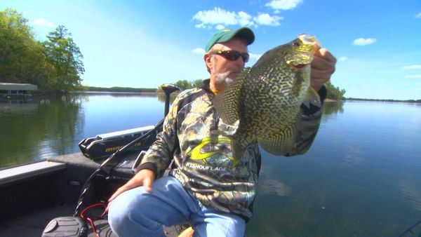 Lindner's Angling Edge - Fishes' Basic Nature