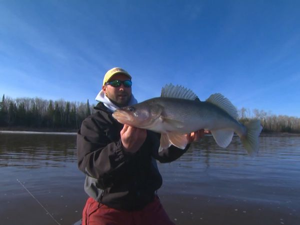 Lindner's Angling Edge - Spring Fishing