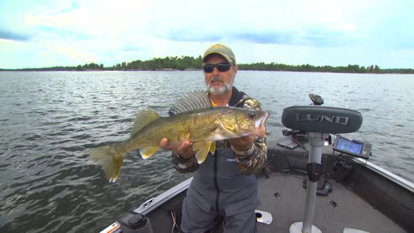 Lindner's Angling Edge - Patterning Fish