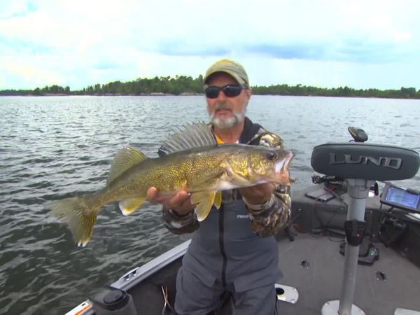 Lindner's Angling Edge - Patterning Fish