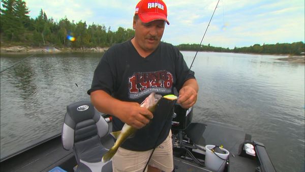 Lindner's Angling Edge - Color Factoring
