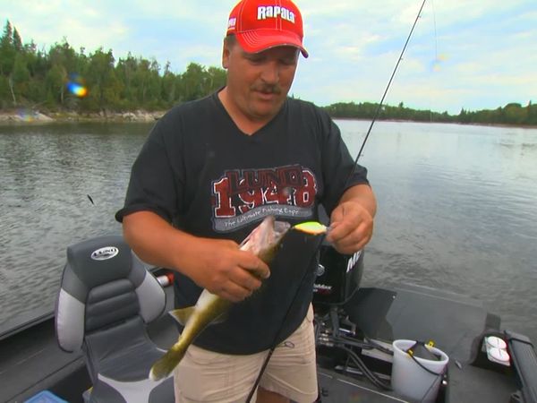 Lindner's Angling Edge - Color Factoring