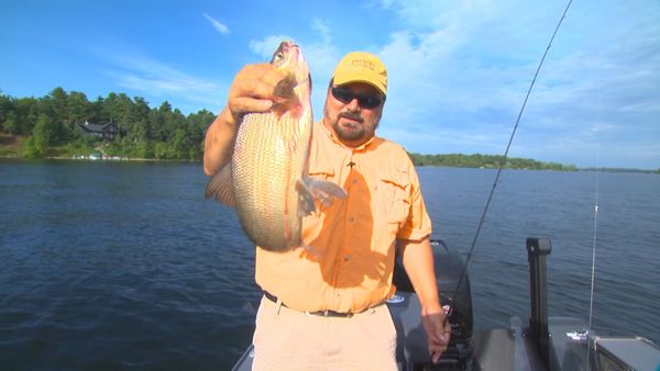 Lindner's Angling Edge - Adventures Near & Far