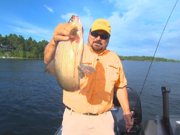 Lindner's Angling Edge - Adventures Near & Far
