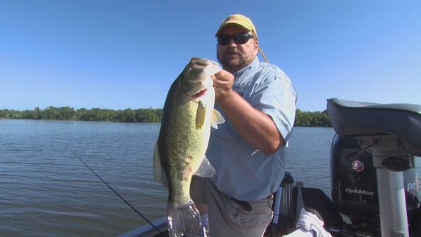 Lindner's Angling Edge - Bottom Fishing