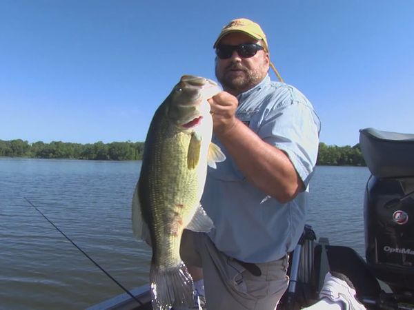 Lindner's Angling Edge - Bottom Fishing