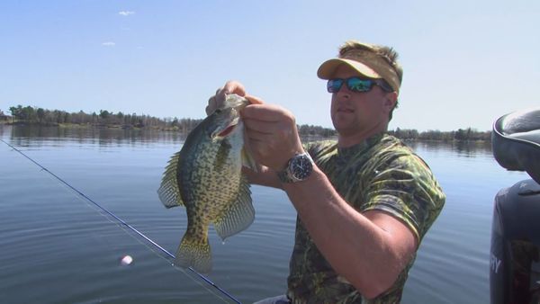 Lindner's Angling Edge - Early Season Logic