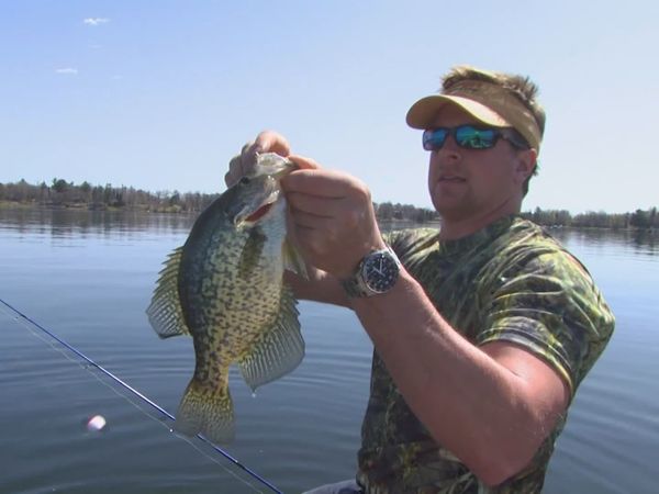 Lindner's Angling Edge - Early Season Logic