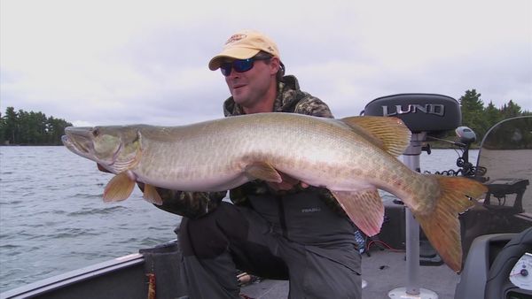 Lindner's Angling Edge - Angling Adventures