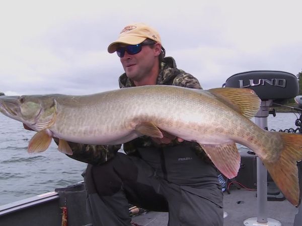 Lindner's Angling Edge - Angling Adventures