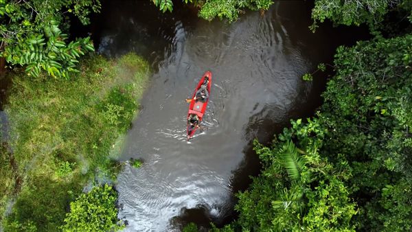 Man Eats Wild - Poisoned in the Amazon