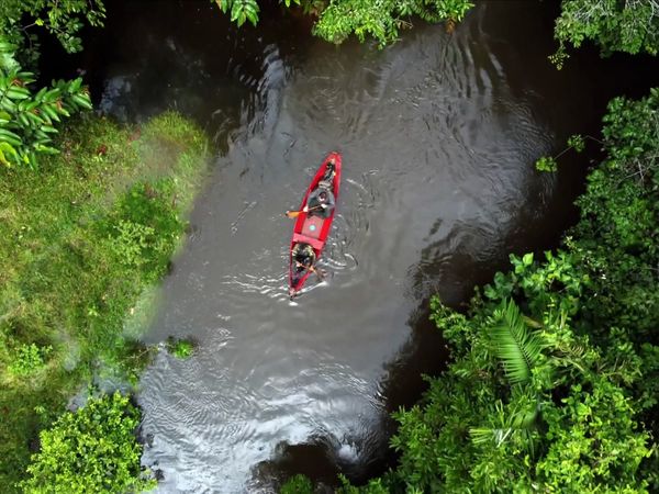 Man Eats Wild - Poisoned in the Amazon