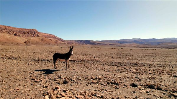 Man Eats Wild - Wild West Atacama
