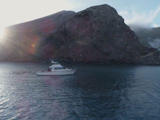 Man Eats Wild - Volcanic Kingfish