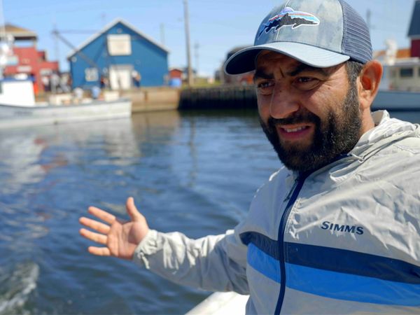 Man Eats Wild - 1,000 Tuna Quest