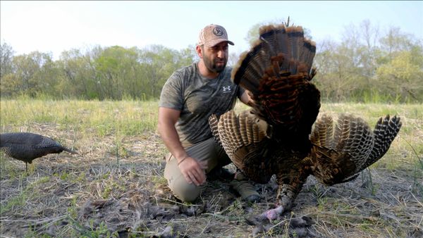Man Eats Wild - Talking Turkey - Frank Stallone