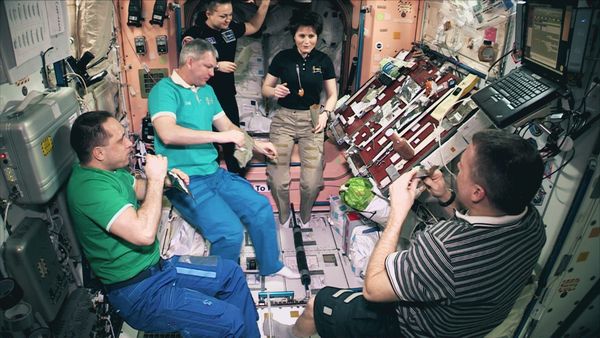 The New Frontier - Living In Space