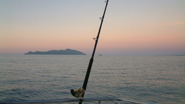 Gone Fishin - Blue Fin Part 1