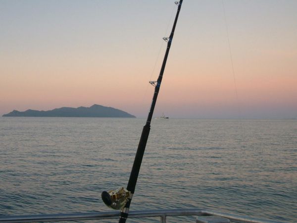 Gone Fishin - Blue Fin Part 1